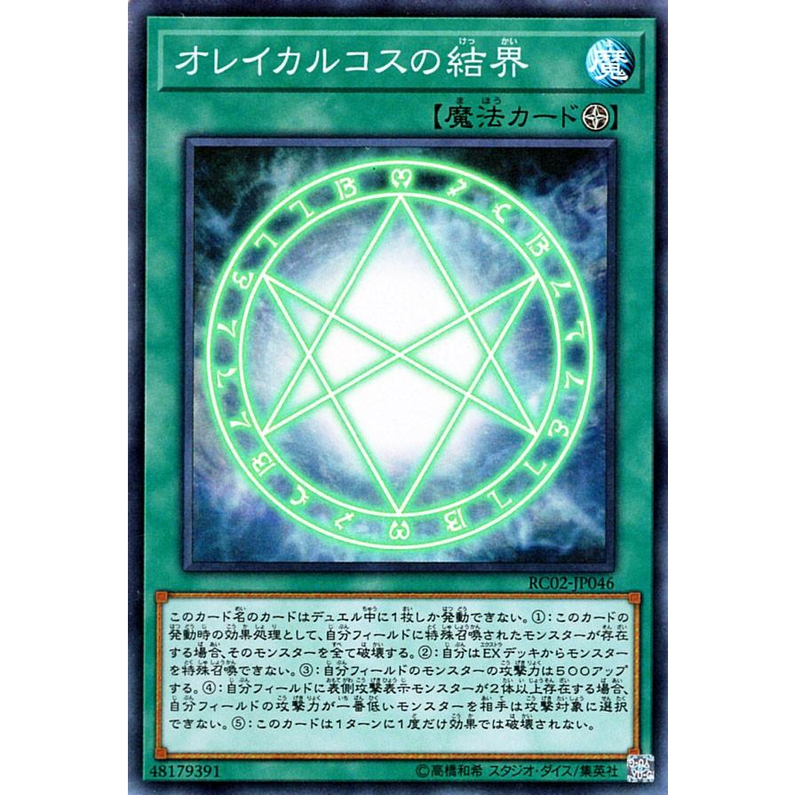 遊戯王オフィシャルカードゲーム デュエルモンスターズ 遊戯王カード