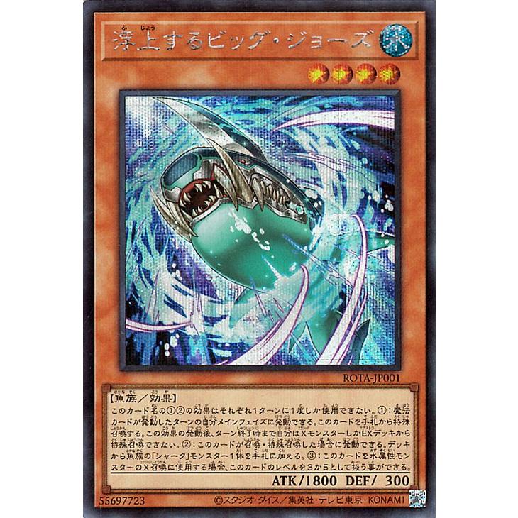 遊戯王オフィシャルカードゲーム デュエルモンスターズ 遊戯王カード