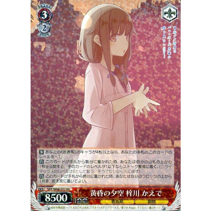 ヴァイスシュヴァルツ 青春ブタ野郎はバニーガール先輩の夢を見ない