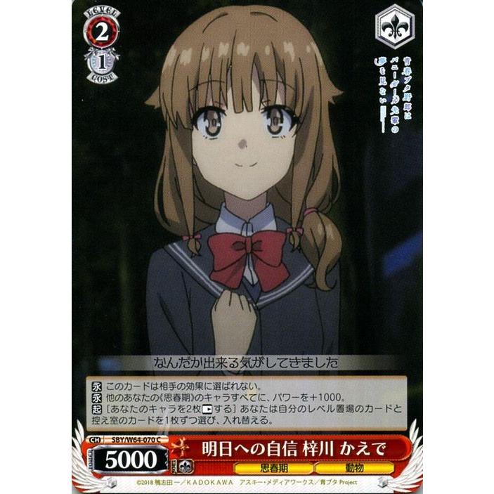 ヴァイスシュヴァルツ 青春ブタ野郎はバニーガール先輩の夢を見ない