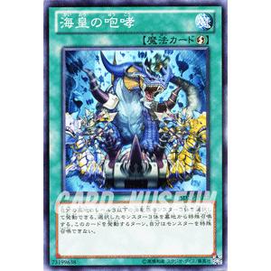 遊戯王オフィシャルカードゲーム デュエルモンスターズ 遊戯王カード