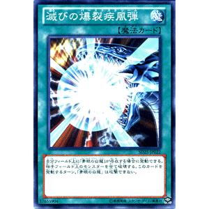 遊戯王オフィシャルカードゲーム デュエルモンスターズ 遊戯王 滅びの