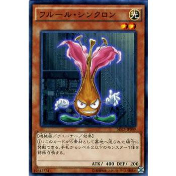 遊戯王オフィシャルカードゲーム デュエルモンスターズ 遊戯王カード