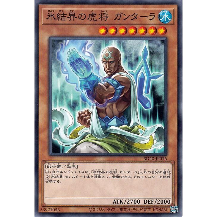 遊戯王オフィシャルカードゲーム デュエルモンスターズ 遊戯王カード