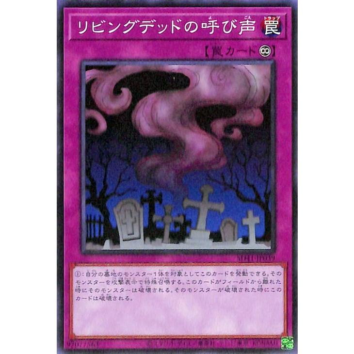 遊戯王オフィシャルカードゲーム デュエルモンスターズ 遊戯王カード