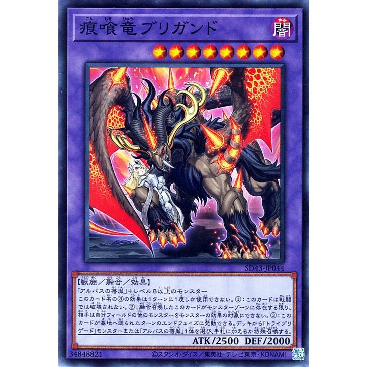 遊戯王オフィシャルカードゲーム デュエルモンスターズ 遊戯王カード