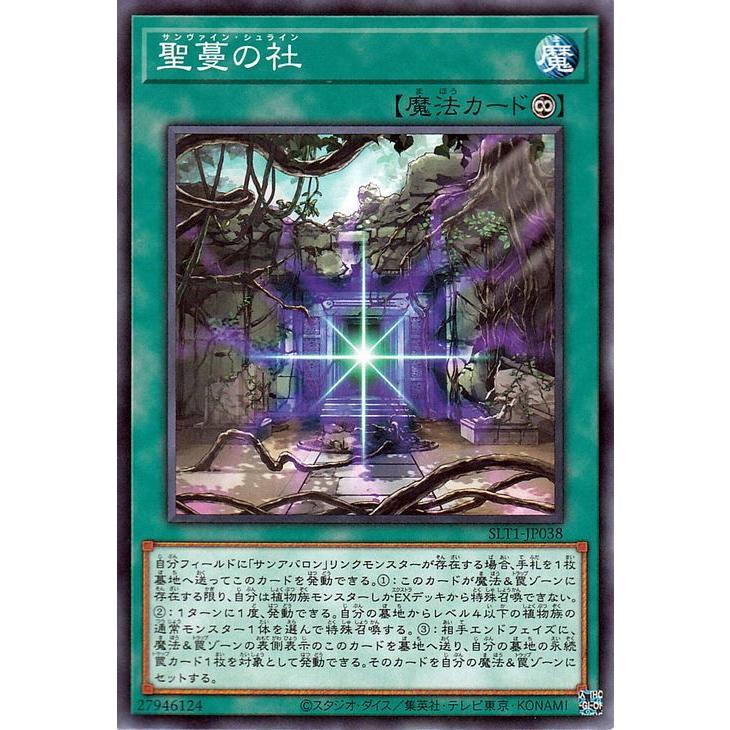 遊戯王オフィシャルカードゲーム デュエルモンスターズ 遊戯王カード