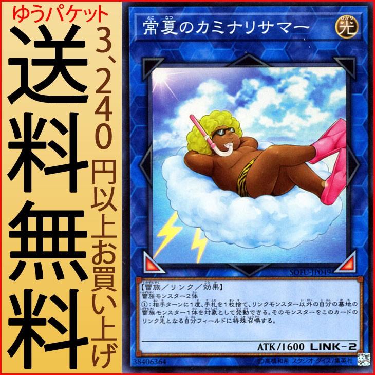 遊戯王オフィシャルカードゲーム デュエルモンスターズ 遊戯王カード