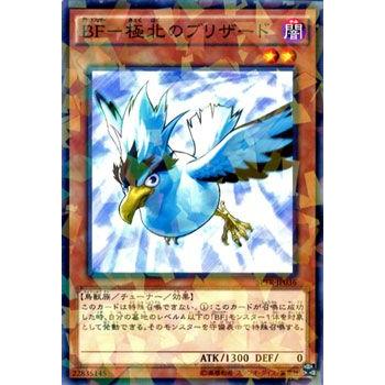 遊戯王オフィシャルカードゲーム デュエルモンスターズ 遊戯王カード