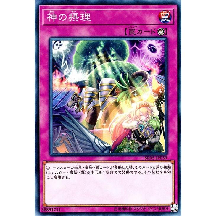 遊戯王カード 神の摂理 ノーマル ストラクチャーデッキr 神光の波動 Sr05 Sr05 Jp039 N カードミュージアム Yahoo 店 通販 Yahoo ショッピング