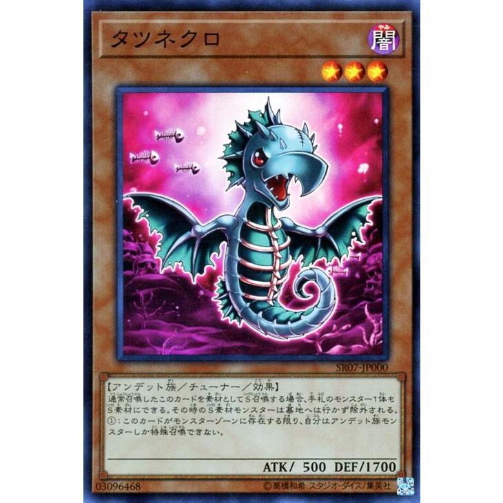 遊戯王オフィシャルカードゲーム デュエルモンスターズ 遊戯王カード