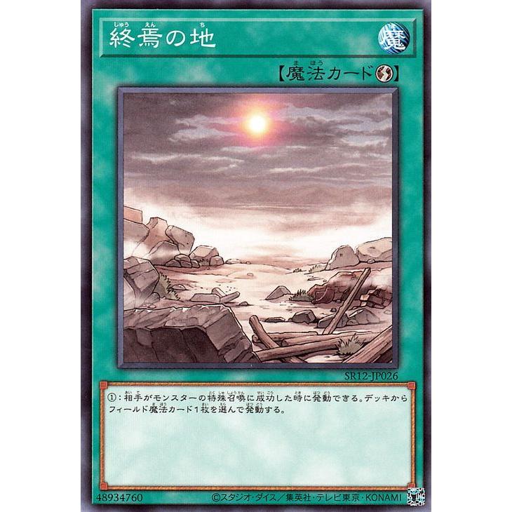 遊戯王オフィシャルカードゲーム デュエルモンスターズ 遊戯王カード