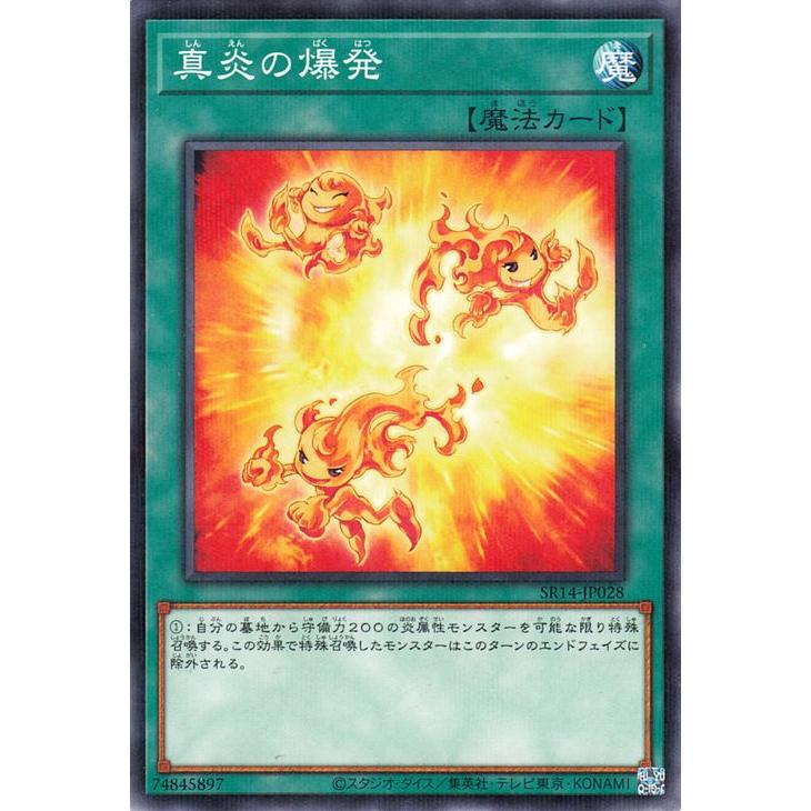 遊戯王オフィシャルカードゲーム デュエルモンスターズ 遊戯王カード