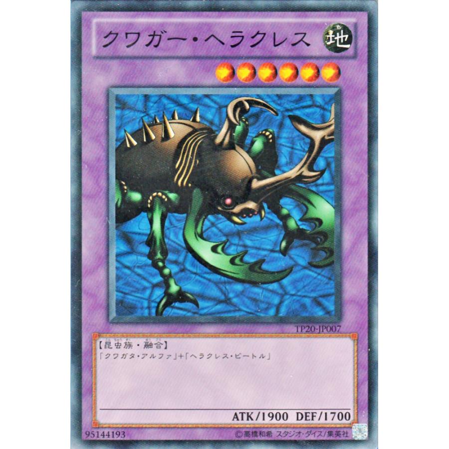 遊戯王オフィシャルカードゲーム デュエルモンスターズ 遊戯王カード 