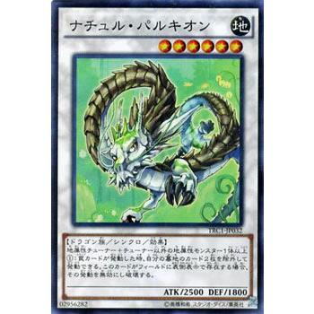 遊戯王オフィシャルカードゲーム デュエルモンスターズ 遊戯王カード