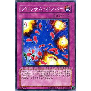 遊戯王オフィシャルカードゲーム デュエルモンスターズ 遊戯王カード