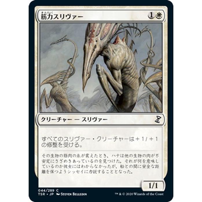 Magic: The Gathering MTG マジック:ザ・ギャザリング 筋力 Magic: The Gathering MTG マジック:ザ・ギャザリング 筋力