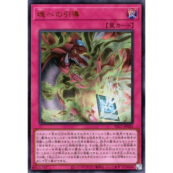 遊戯王オフィシャルカードゲーム デュエルモンスターズ 遊戯王カード