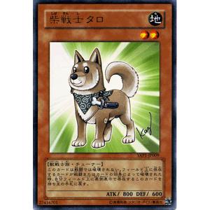 【PSA10】柴戦士タロ　ウルトラレア　アニバーサリーパック　遊戯王 遊戯王オフィシャルカードゲーム デュエルモンスターズ 遊戯王