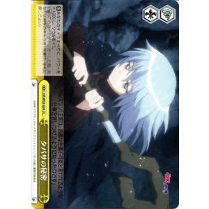 ゼロの使い魔　未開封 box ヴァイスシュヴァルツ トレーディングカードゲーム ヴァイスシュヴァルツ ブースターパック