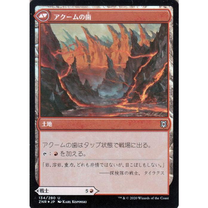 MTG　ゼンディカー　基本土地　日本語　134枚 MTG ゼンディカー 基本土地 日本語 134枚 MTG ゼンディカー 基本土地