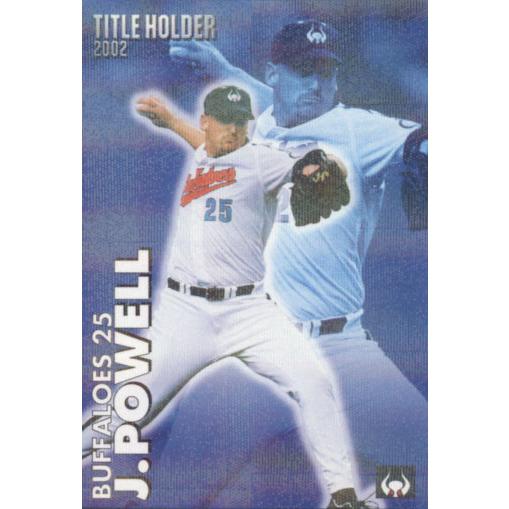 カルビー2003 プロ野球チップス 第一弾 タイトルホルダーカード No.T