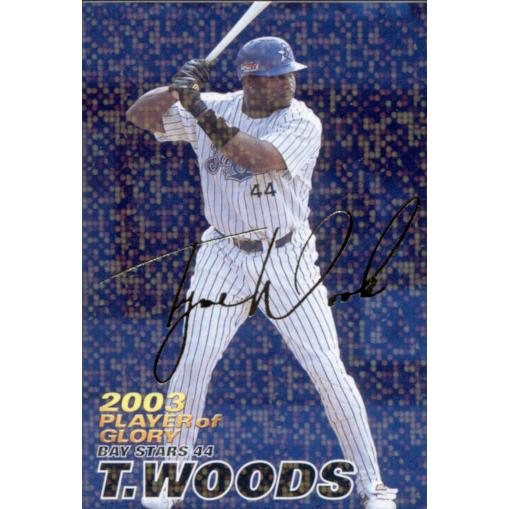 カルビー2004 プロ野球チップス 第一弾 プレイヤー オブ