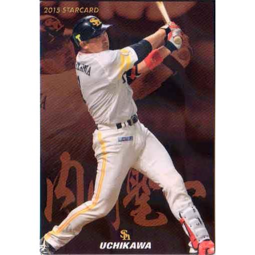 2015 プロ野球チップス スターカード2枚～ 2015 プロ野球チップス