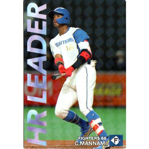 カルビー2022 プロ野球チップス 第三弾 チーム本塁打王カード No.HR-11