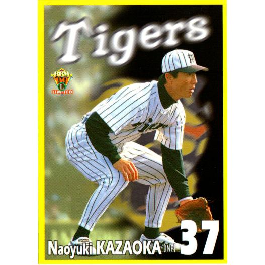 BBM1999 阪神タイガース レギュラーカード No.T48 風岡尚幸 BBM1999 阪神タイガース レギュラーカード No.T48 風岡尚幸