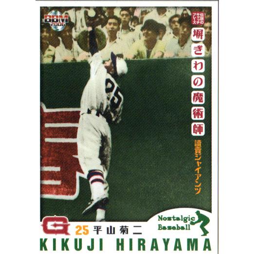 山介ページ THE NORTH FACE ザ・ノースフェイス Base Camp Voyager Lite 42L