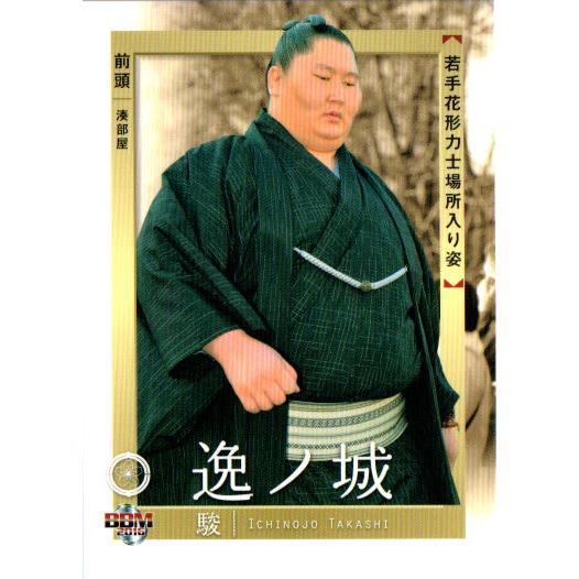 BBM2016 大相撲カード「彩」 レギュラーカード No.75 逸ノ城駿｜cardya2