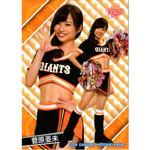 BBM2019 プロ野球チアリーダーカード-華- レギュラーカード No.華64