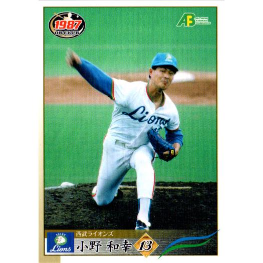 デトロイト・タイガース　野球カード図鑑（1952年〜1987年）　洋書 デトロイト・タイガース 野球カード図鑑（1952年〜1987年） 洋書