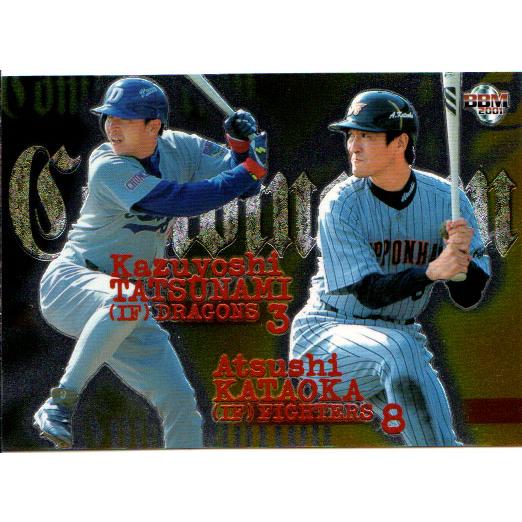 BBM2001 ダイヤモンドヒーローズ レギュラーカード No.256 立浪和義