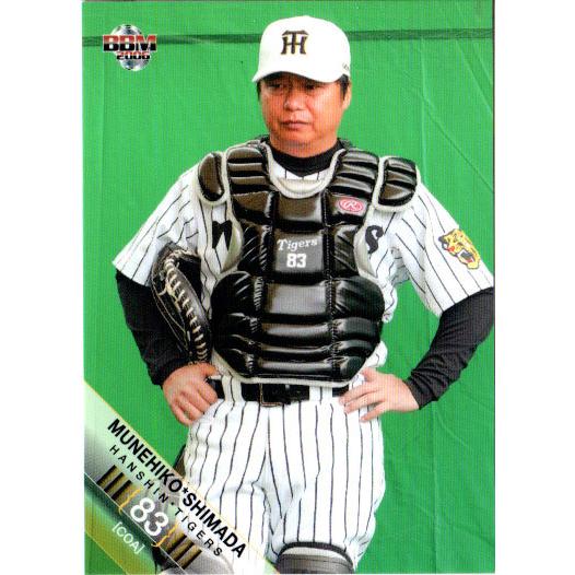 BBM2006 阪神タイガース レギュラーカード No.T009 嶋田宗彦 BBM2006 阪神タイガース レギュラーカード No.T009 嶋田宗彦