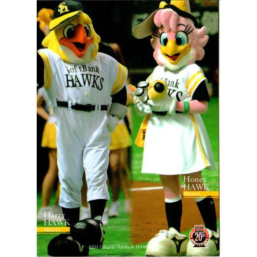 BBM2010 福岡ソフトバンクホークス レギュラーカード No.H75 ハリー