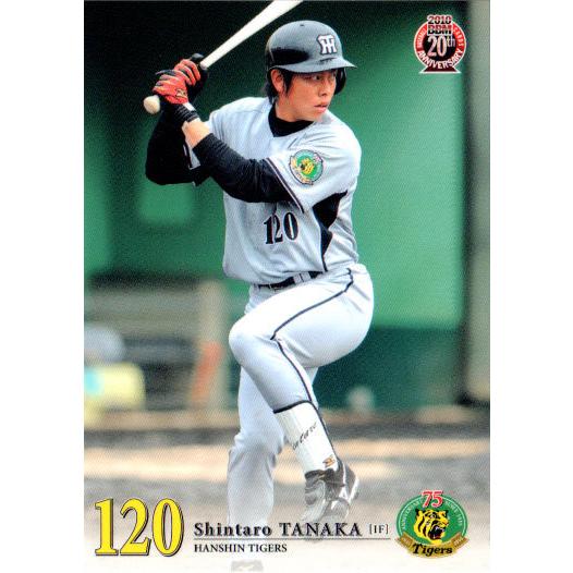 BBM2010 阪神タイガース レギュラーカード No.T074 田中慎太朗 BBM2010 阪神タイガース レギュラーカード No.T074 田中慎太朗