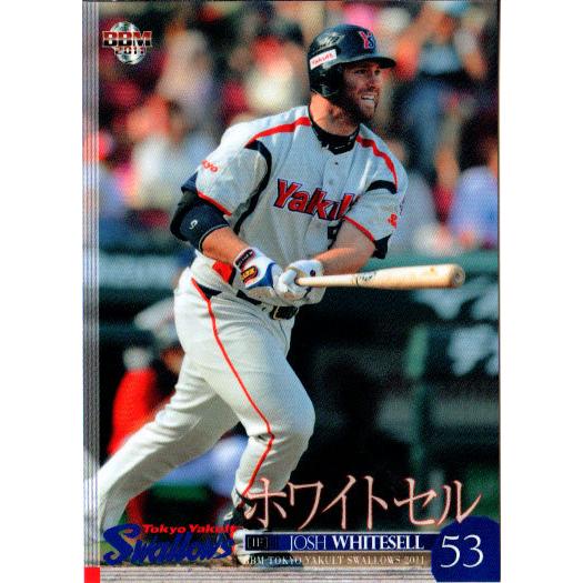 BBM2011 ヤクルトスワローズ レギュラーカード No.S52 ホワイト BBM2011 ヤクルトスワローズ レギュラーカード No.S52 ホワイト