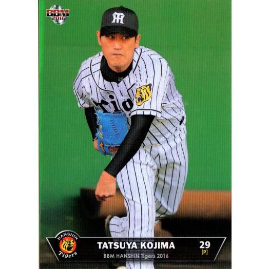 BBM2016 阪神タイガース レギュラーカード No.T14 小嶋達也 BBM2016 阪神タイガース レギュラーカード No.T14 小嶋達也