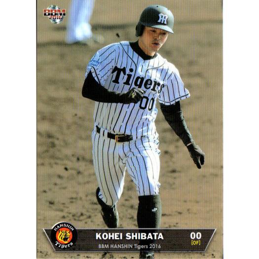 BBM2016 阪神タイガース レギュラーカード No.T56 柴田講平