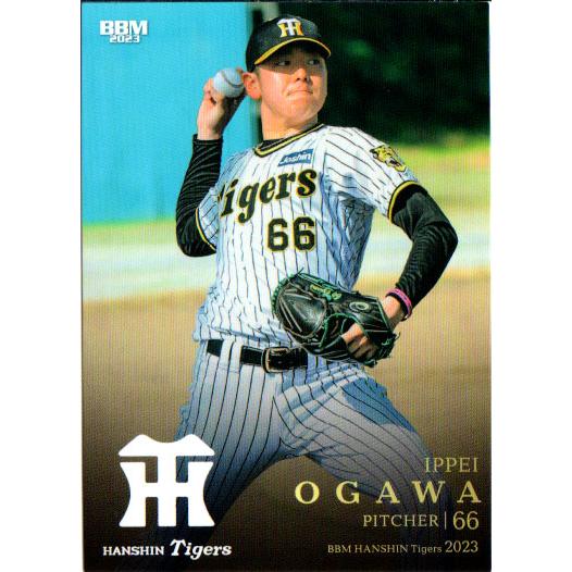 BBM2023 阪神タイガース レギュラーカード No.T30 小川一平 : かーど屋