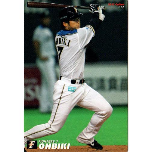 カルビー2013 プロ野球チップス 第二弾 レギュラーカード No.117 大引 