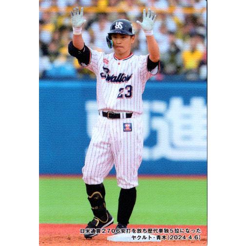 カルビー　プロ野球チップス 13 加藤 カルビー2006 プロ野球チップス 第三弾 レギュラーカード No.241