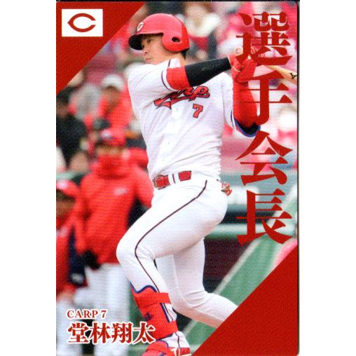 カルビー2024 プロ野球チップス 選手会長カード No.PL-02 堂林翔太