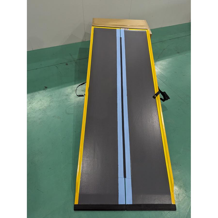 ダンスロープライトスリム(285cm) R-285SL（愛知、岐阜県限定販売） |  | 01