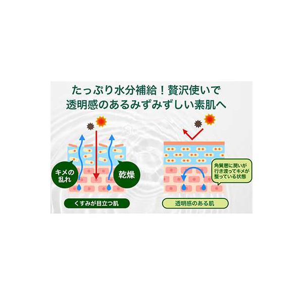500mL　i-SAMU（アイサム）feme CICA　CICAハトムギ化粧水｜care-harukaze｜05