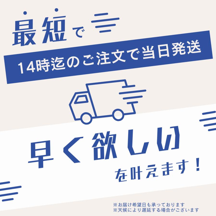 シルバーカー 手押し車 シルバーカート おしゃれ シルバーカーに見え