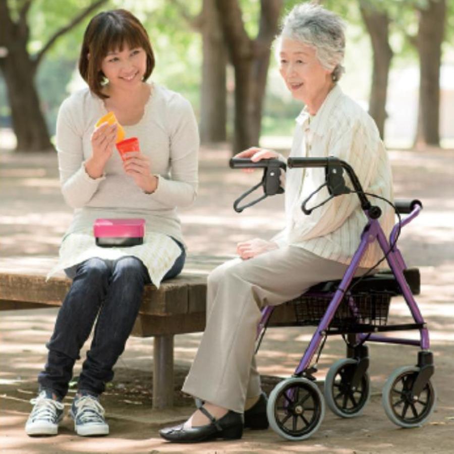 竹虎 歩行器 シルバーカー 高齢者 介護用品 介護歩行器 ハッピーミニ