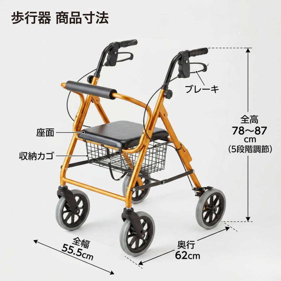 竹虎 歩行器 シルバーカー 座れる 収納 手押し車 シルバーカーに見え